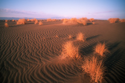 Expeditionen - Erlebnisreisen - Reisen mit Expeditions- und Erlebnisreise-Charakter - Iran - Wste bei Sonnenuntergang